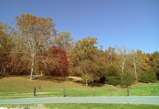 Lake and Farm Photos