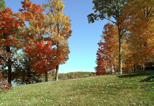 DSCF0016