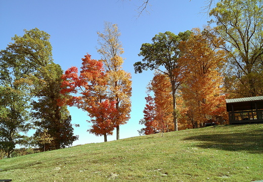 DSCF0021