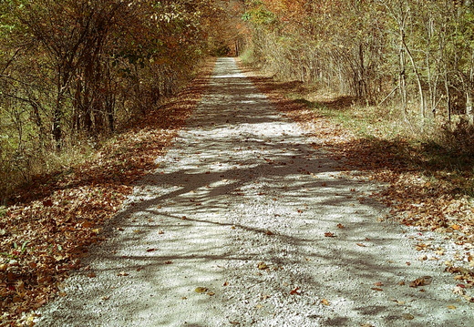 DSCF0006