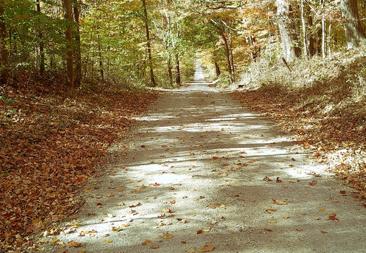 DSCF0008
