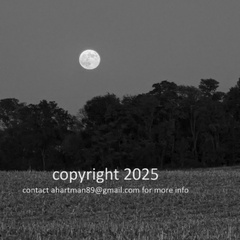 PXL 20241017 232426723 copy